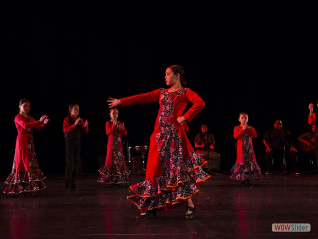 Niños y Teeños Flamenco