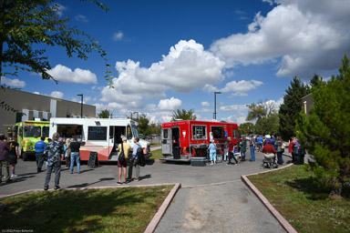 Food Vendors